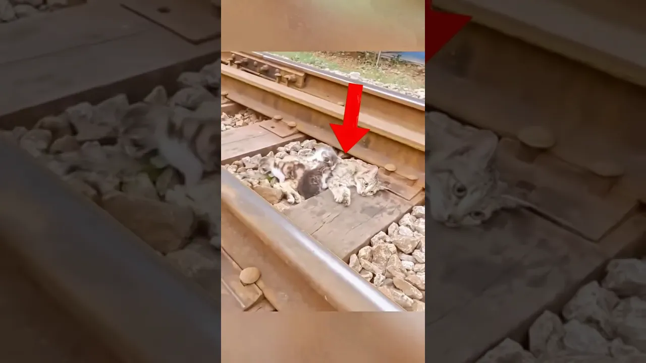 Humanity still a alive