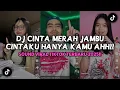 Lagu DJ DJ CINTAKU HANYA KAMU AHH CINTA MERAH JAMBU TRENDING TIKTOK 2025 TERBARU!!