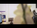 V’ghn X Parry Jack - Too Sweet (Nice Time Riddim)  (Official Video)