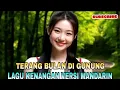 Download Lagu LAGU KENANGAN VERSI MANDARIN - TERANG BULAN DI GUNUNG - LAGU KENANGAN PALING POPULER SEPANJANG MASA.