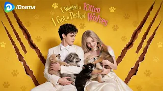 🐱Cat Demon + Human Prince + Five Pups = The Most Dysfunctional Royal Family in History!