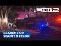 Police searching for wanted felon in Woodburn