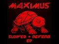 Download Lagu MAXIMUS - BASS BASS BASS (Slowed \u0026 Reverb) #Shorts #YouTubeShorts #clubmusic #banger #djlife #bass