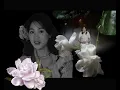 鳳飛飛好歌MV - 《六月茉莉》