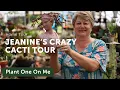 Download Lagu Gila. Kaktus. Kekacauan: TUR SUCCULENT \u0026 CACTI bersama Jeanine — Ep. 421