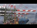How to safely find Maher terminal reefer department