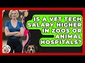 Is a Vet Tech Salary Higher in Zoos or Animal Hospitals Animal Care Jobs