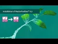Getting started with ModusToolbox - Installation