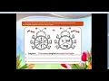 S4-Inflectional Endings Worksheet