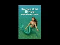 FrSky-Overview of the Ethos Operating System