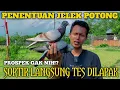 Lagu MERPATI INI PROSPEK ATAU MAU DI POTONG TES PENENTUAN SORTIR BURUNG DI LAPAK