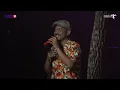 JALAN JALAN - HERUWA SHAGGYDOG (KP5)