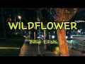 Download Lagu Billie Eilish - Wildflower (lyrics)