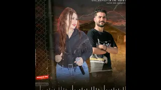 مهرجان كل الستات مجانين الراجل لو انقرض الستات تعيش مبسوطين طارق شئلشه رودي اغاني 2023 