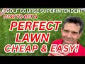 Best Grass Seed for the Money Revealed