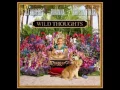 dj khaled- wild thoughts ft rihanna & bryson tiller (lyrics)