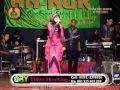 Sebotol Minuman Elvy Sukaesih