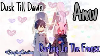 Download Dusk Till Dawn AVM (cover by Madilyn Bailey) Darling In The Franxx MP3