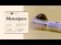Mounjaro Tirzepatide How It Works How to Take It and Side Effects GoodRx
