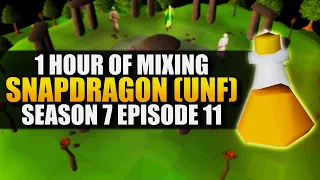 Mixing Snapdragon Potions Testing OSRS Wiki Money Making Methods Money Making Guide 2023