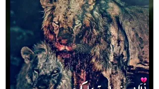 حالات واتس حزينةة لساا جديدة ألف خسارة عليكي يا دنيا كبرتي ناس علي ناس تانيةة حالات 2020 