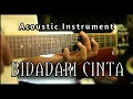 Download Lagu BIDADARI CINTA ACOUSTIC INSTRUMENT COVER