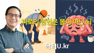 아무리 쉬어도 피곤한 진짜 이유, 몸이 아닌 뇌가 지쳤기 때문