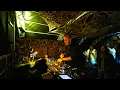 Download Lagu Outsiders live @ Burning Mountain Festival 2023