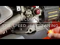 Quick Tip Tecumseh idle jet cleaning Will it help surging