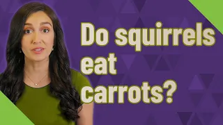 Do squirrels eat carrots