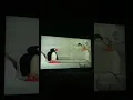 Download Lagu Pingu Wants To Fly The Seagull Squawks At Pingu