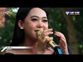 Download Lagu PECAK WELUT - NIKA ARDILA - KOPLO DANGDUT BREST MUSIC LIVE KARANGSAMBUNG 5 APRIL 2025