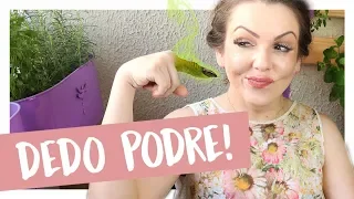 tenho o dedo podre e agora gigi barreto
