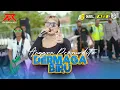 Lagu Anggun Pramudita - DERMAGA BIRU || NEW RAXZASA (Live PEB Curahpacul - Tambakrejo)