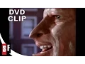 Download Lagu Manimal (1983) Clip (2/5) Pigeon Play