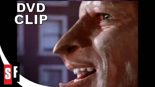 Manimal 1983 Clip 2 5 Pigeon Play  Manimal 1983 Clip 2 5 Pigeon Play