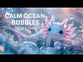 Sensory Axolotl Bubbles Calming Music for Classroom Focus Autism Support Relaxation