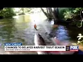 Changes to delayed harvest trout season in western NC