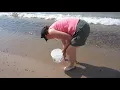 Calumet Beach August 2013