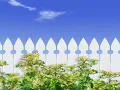 田中星児「ビューティフル・サンデー」Beautiful Sunday