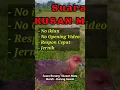 Download Lagu Suara Burung Tikusan Mata Merah - Burung Sawah #shorts