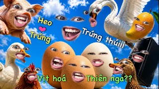 Ông trời kể chuyện về 3 quả trứng "khổ" nhất thế giới