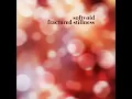 Fractured Stillness - Softvøid