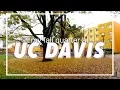 my fall quarter at UC DAVIS