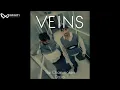 Lagu The Chainsmokers \u0026 Daya - Veins