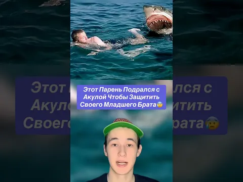 Этот Парень Подрался с Акулой Чтобы Защитить Своего Младшего Брата!😰 #shorts #акула #брат #океан