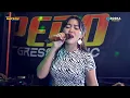 Lagu NEW GAPERO - Serigala berbulu domba - Ema Vernanda - live Drmh  Bp IWAN DWI ATMOKO Piji dawe