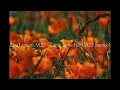 Zara Larsson, VIZE - Can't Tame Her (VIZE Remix)