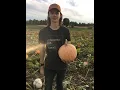 Find your Perfect Pumpkin in our Pick Your Pumpkin Patch