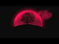 Hoenix - Introspection (Extended Version)